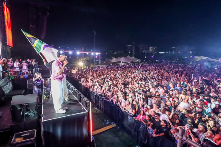 An artist on stage waving the South African flag over a packed crowd at night